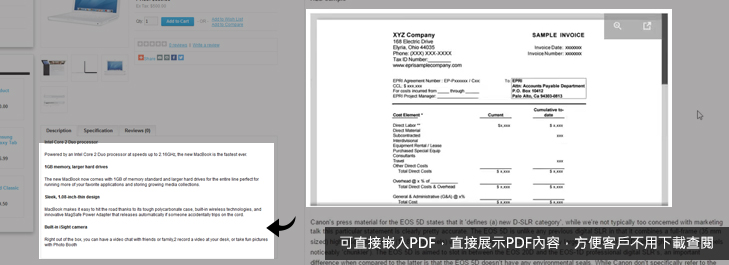 PDF embed function